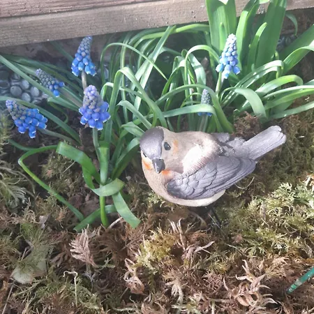 B&B D'hote Amitie Et Jardin