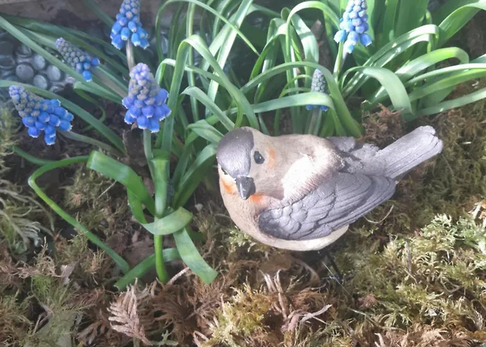 Bed & Breakfast D'hote Amitie Et Jardin