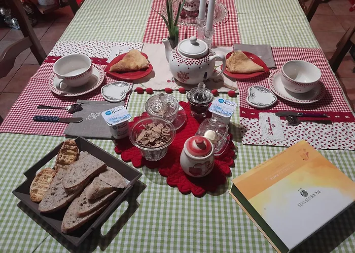 Bed & Breakfast D'hote Amitie Et Jardin