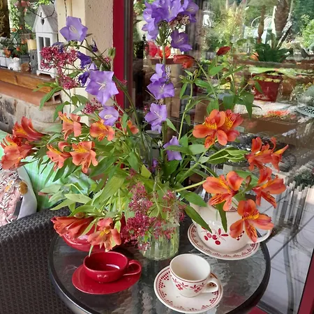 Bed & Breakfast D'hote Amitie Et Jardin *