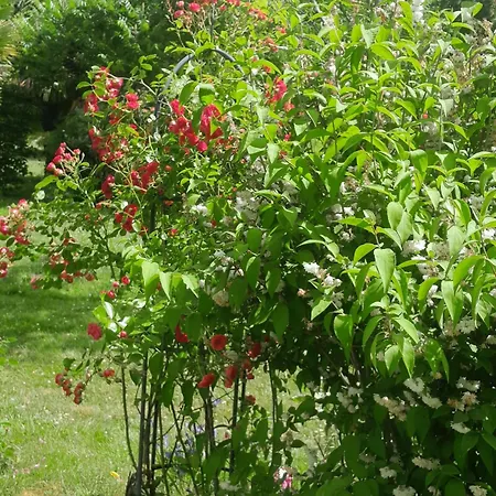 D'hote Amitie Et Jardin Nocleg ze śniadaniem Carmaux
